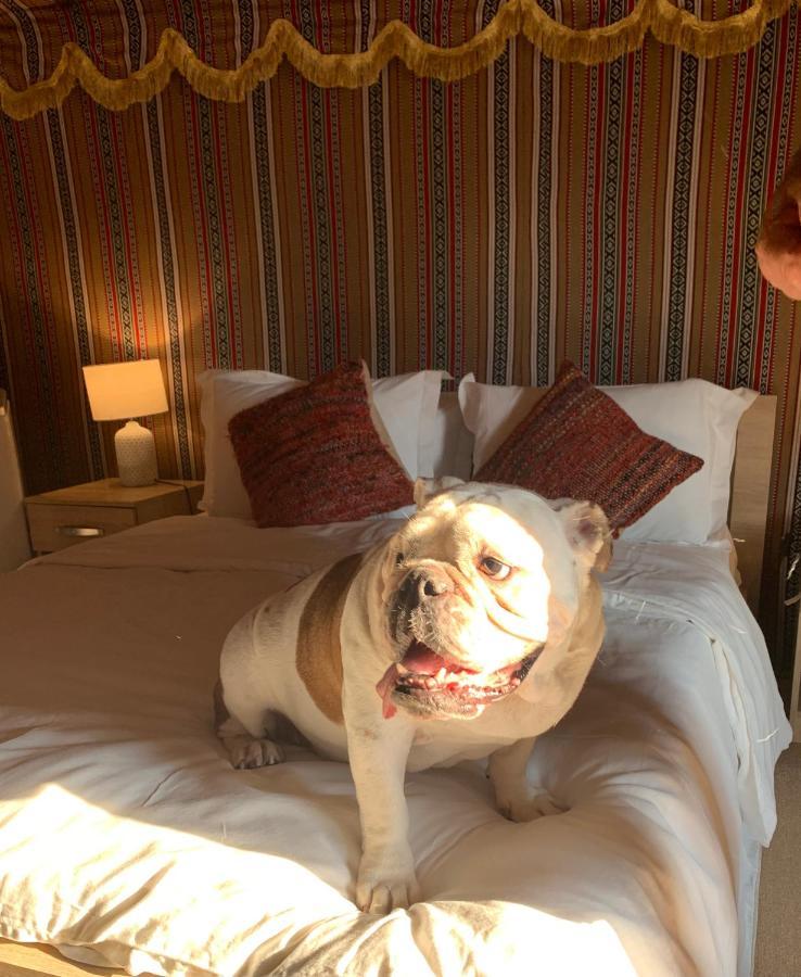 Hotel Rak Glamping Ra’s al-Chaima Exterior foto